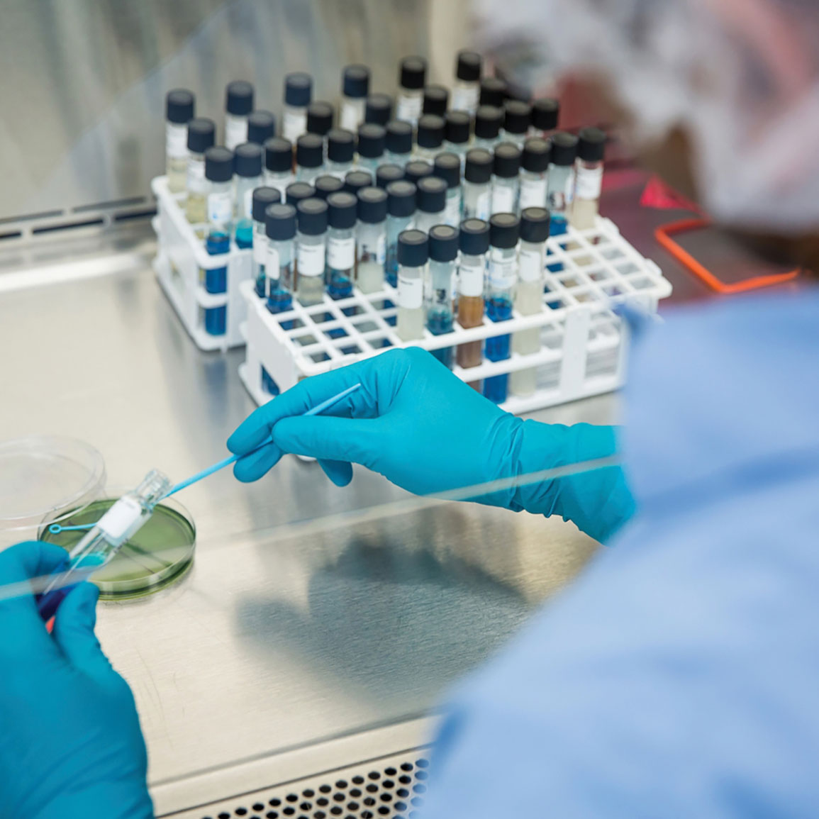 Scientist Testing In Test Tubes