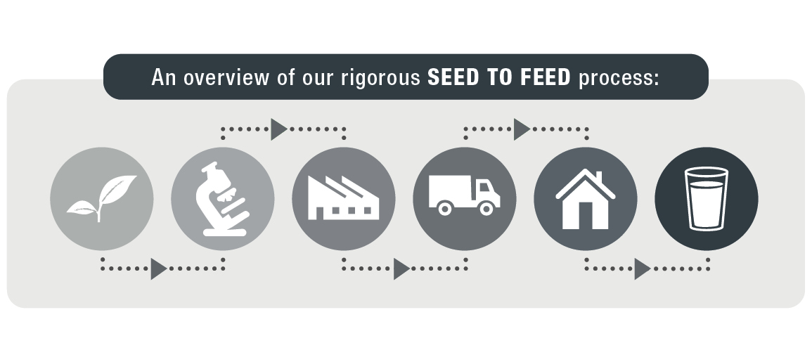 Seed To Feed Infographic