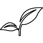 Ingredients With Purpose, Seed To Feed