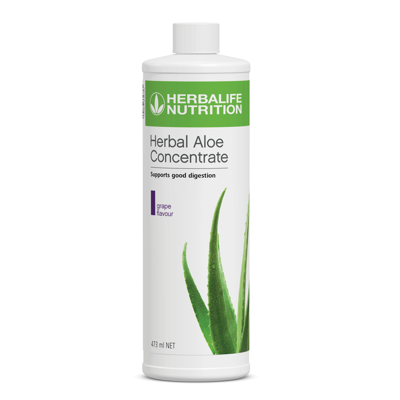 1610 Beverage Herbal Aloe Concentrate Grape
