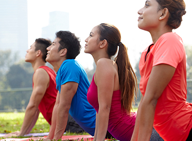 Our Product Solutions for Immunity Support