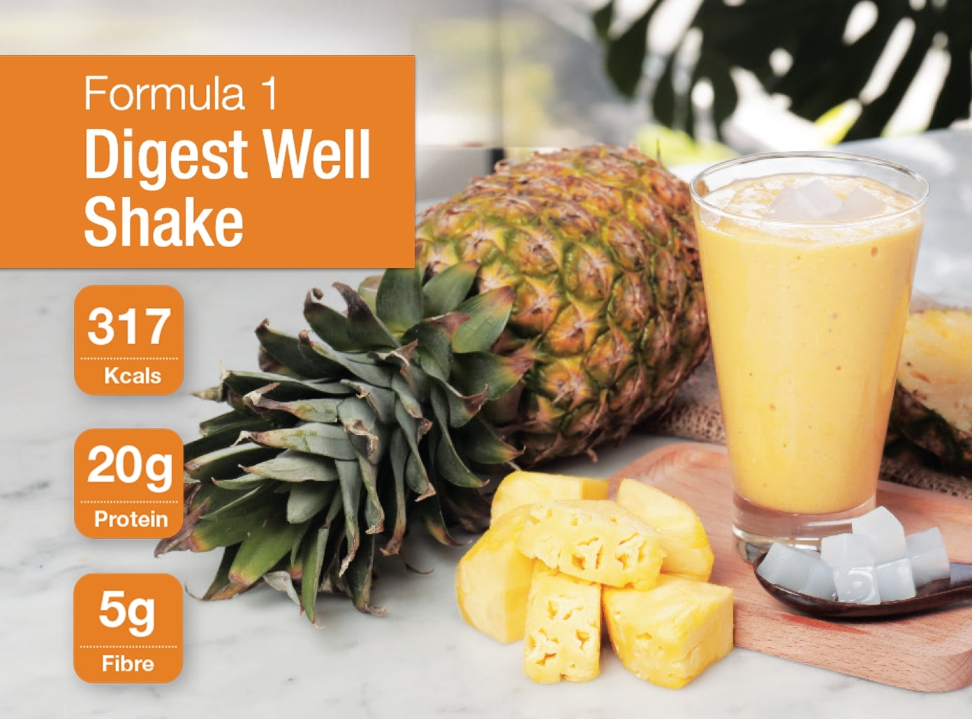 Formula 1 Digest Well Shake
