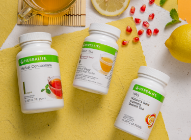 gambar sub banner halaman rankaian produk the