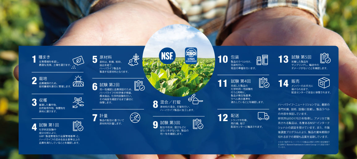 SEED TO FEEDの14のステップ