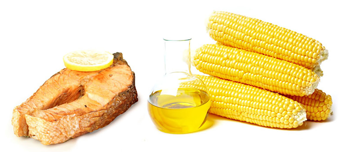 건강한 지방의 중요성