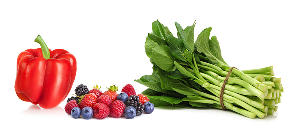 식물영양소가 중요한 이유