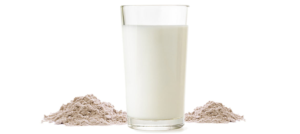 단백질이 중요한 이유