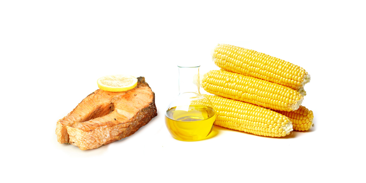 건강한 지방의 중요성