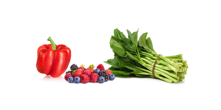 식물영양소가 중요한 이유