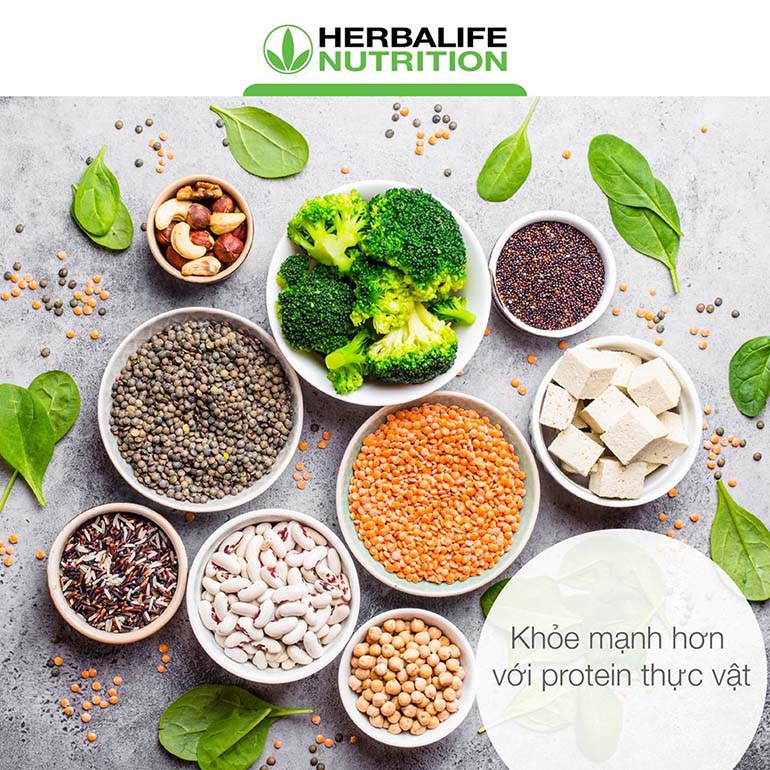 Protein thực vật