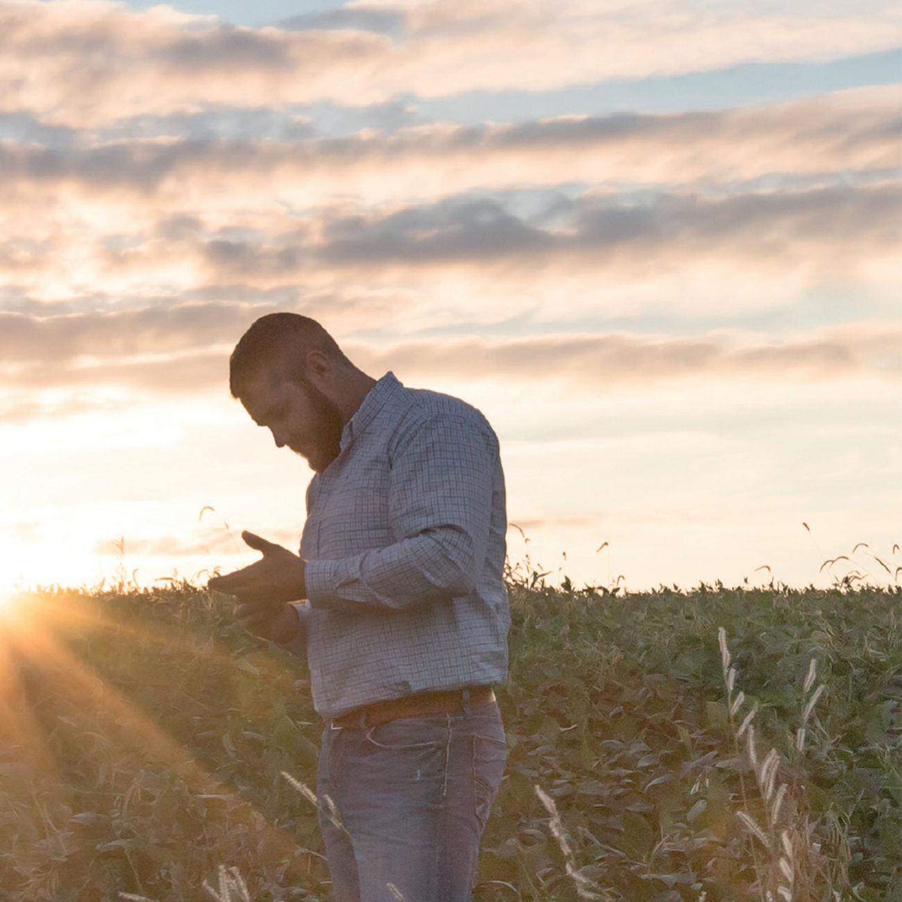 herbalife nutrition farmer checking crop in a field